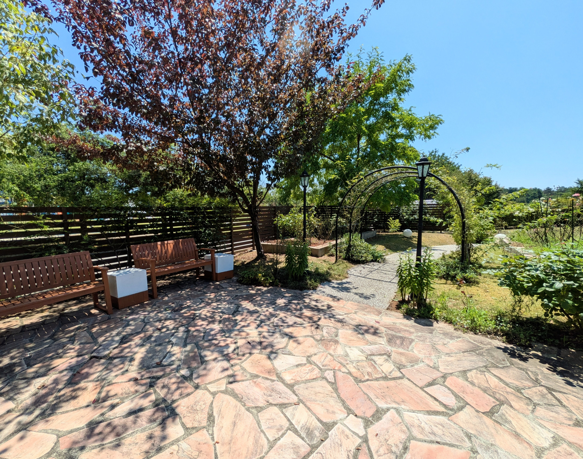 やなぎだ植物公園