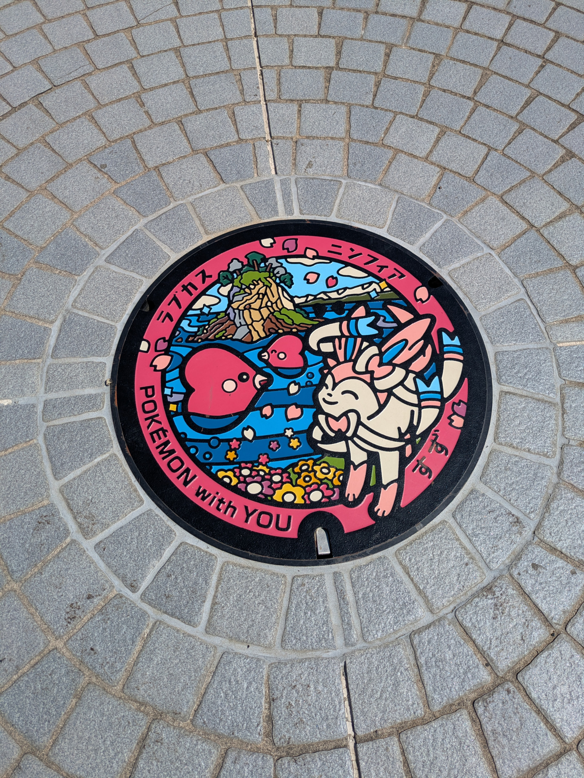 ラブカスベンチの奥にあるポケふた