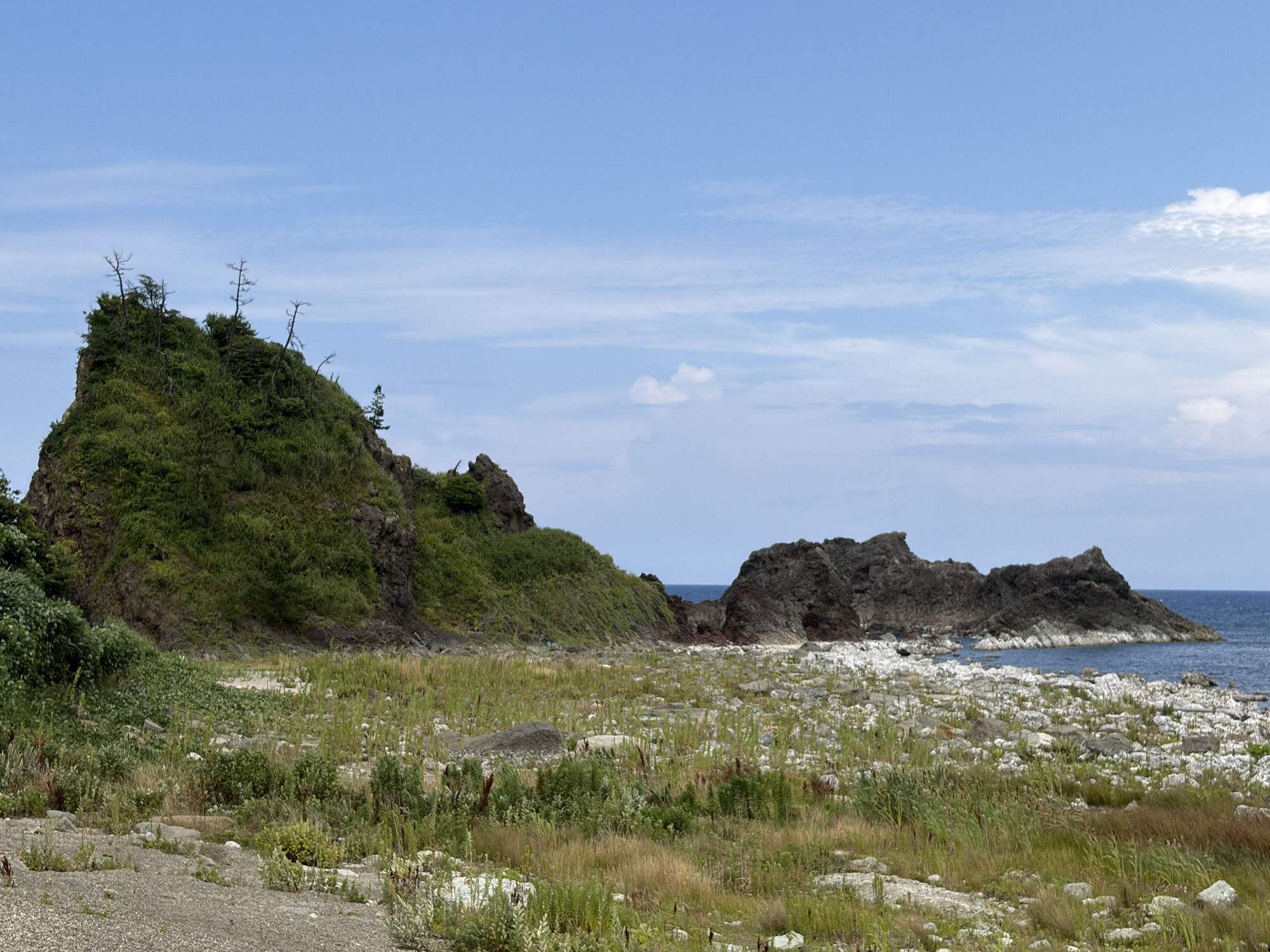 隆起した海岸