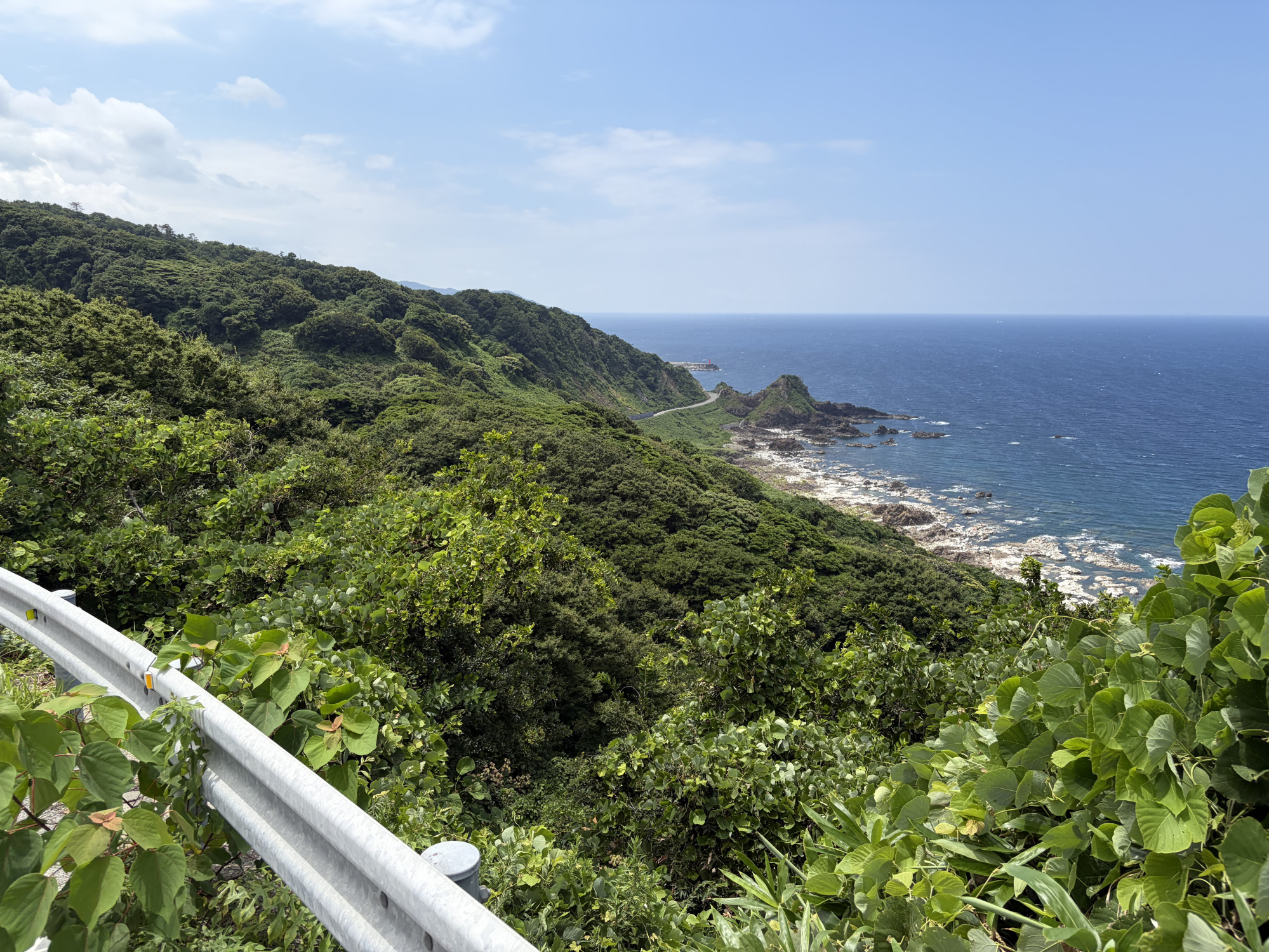 山から見る海の景色