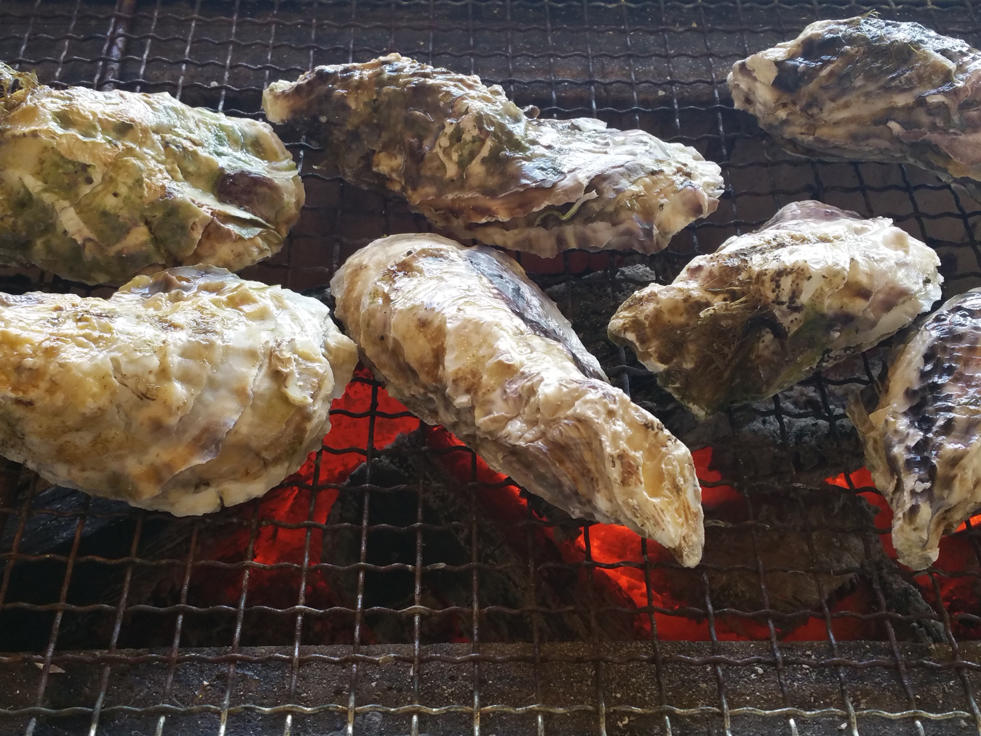 真牡蠣の焼牡蠣