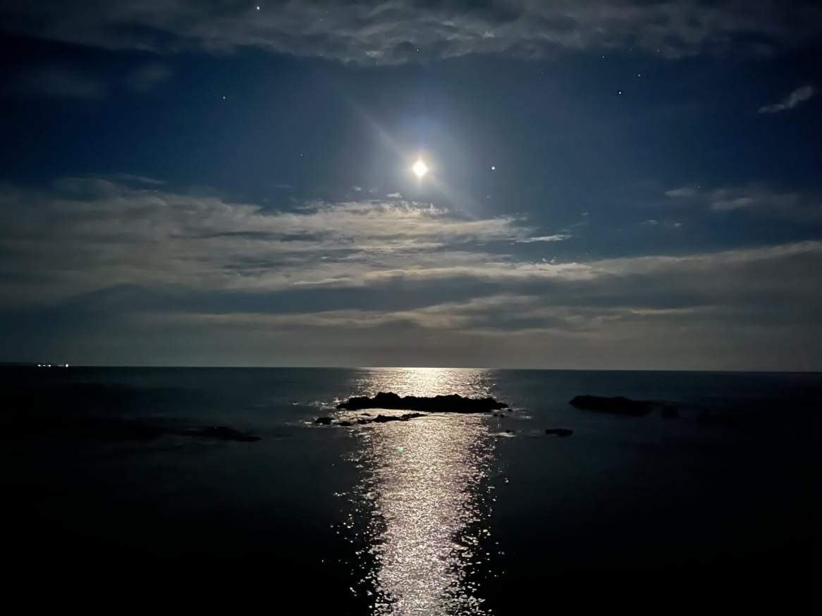 赤崎海岸（古矢さん提供）