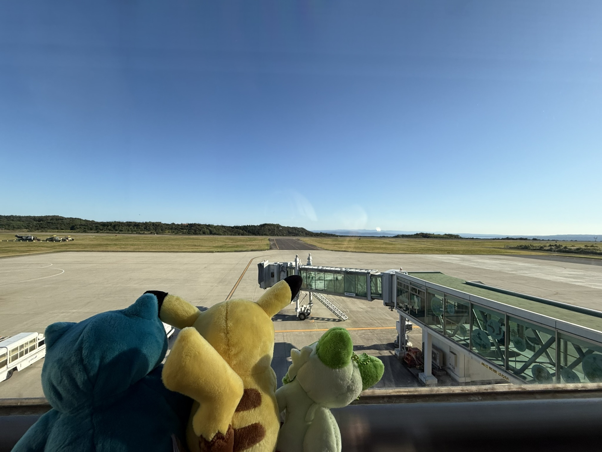 羽田便を見守るポケモン達