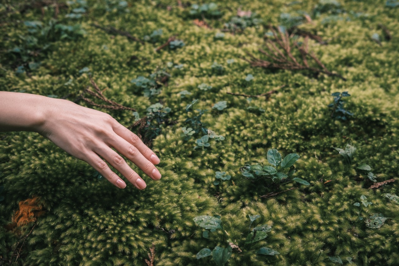 和倉温泉で伝統建具の粋を味わう。組子体験と幻想の森へ｜石川県・能登