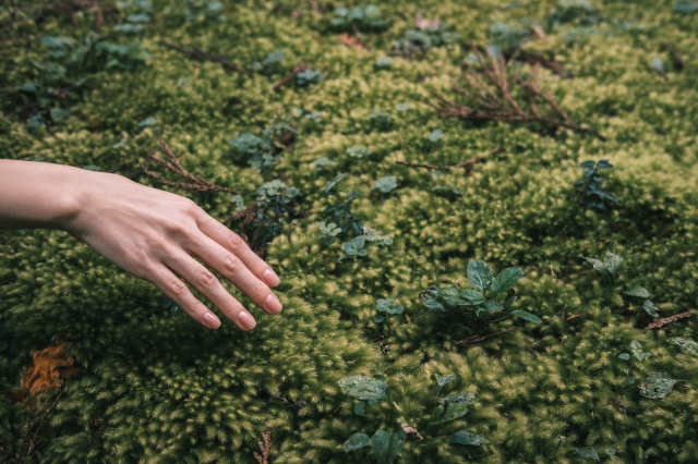 和倉温泉で伝統建具の粋を味わう。組子体験と幻想の森へ｜石川…