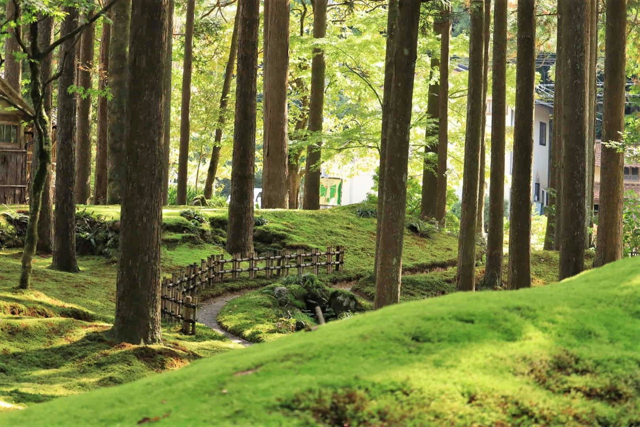 自然からの癒やしとパワーをチャージ☆石川県小松市の景勝地巡り旅
