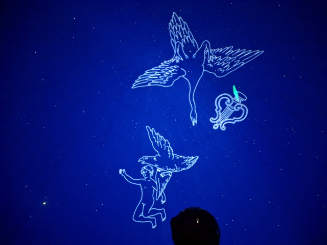 能登半島・観光スポット｜能登町で星や海の生き物、縄文土器な…