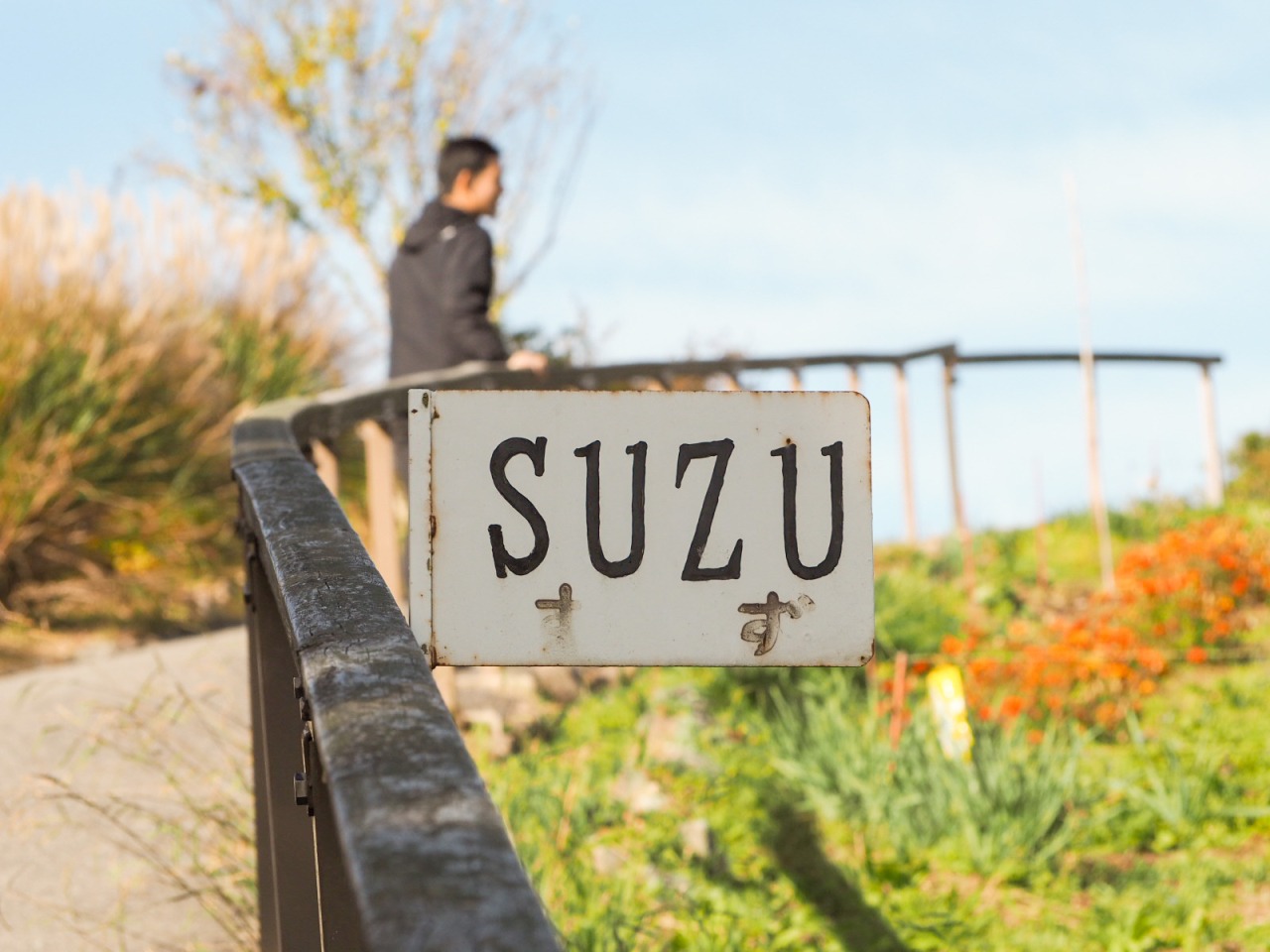 珠洲市で奥能登の恵みの能登丼と絶景を満喫！