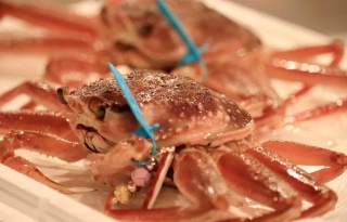 金沢の港町・大野周辺で北前船＆パワースポット＆夜ゼリ見学