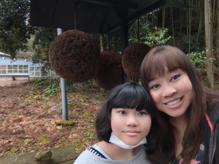 中能登地域の発酵食品文化を作って、買って、見学♪｜石川県七尾市・中能登町