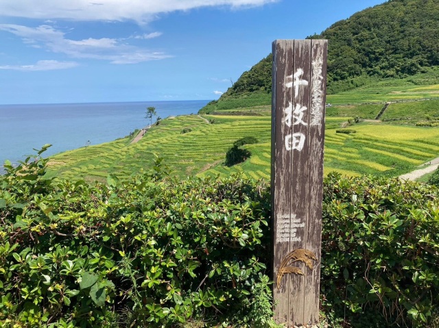 【能登半島】絶景の白米千枚田を目指す日帰り旅 