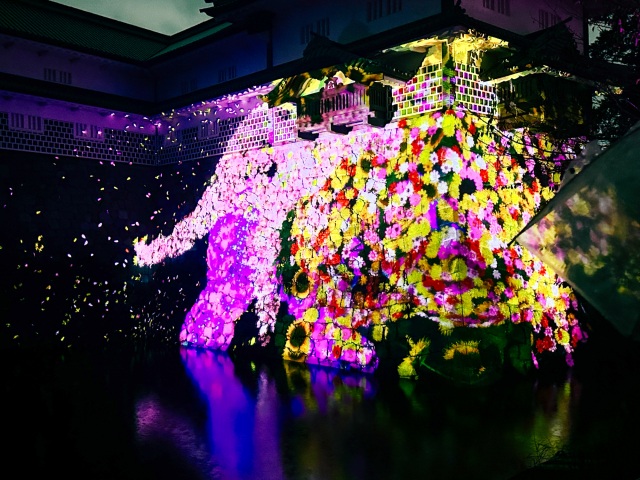 【終了しました】チームラボ 金沢城 光の祭とは？アクセス・服…