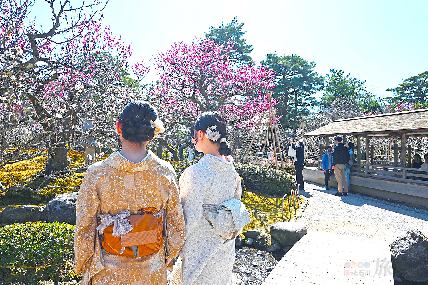 兼六園の見どころや見頃などを解説！