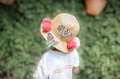 石川県ふれあい昆虫館レポ｜オオゴマダラにビオトープ！ランチは親子に人気カフェへ