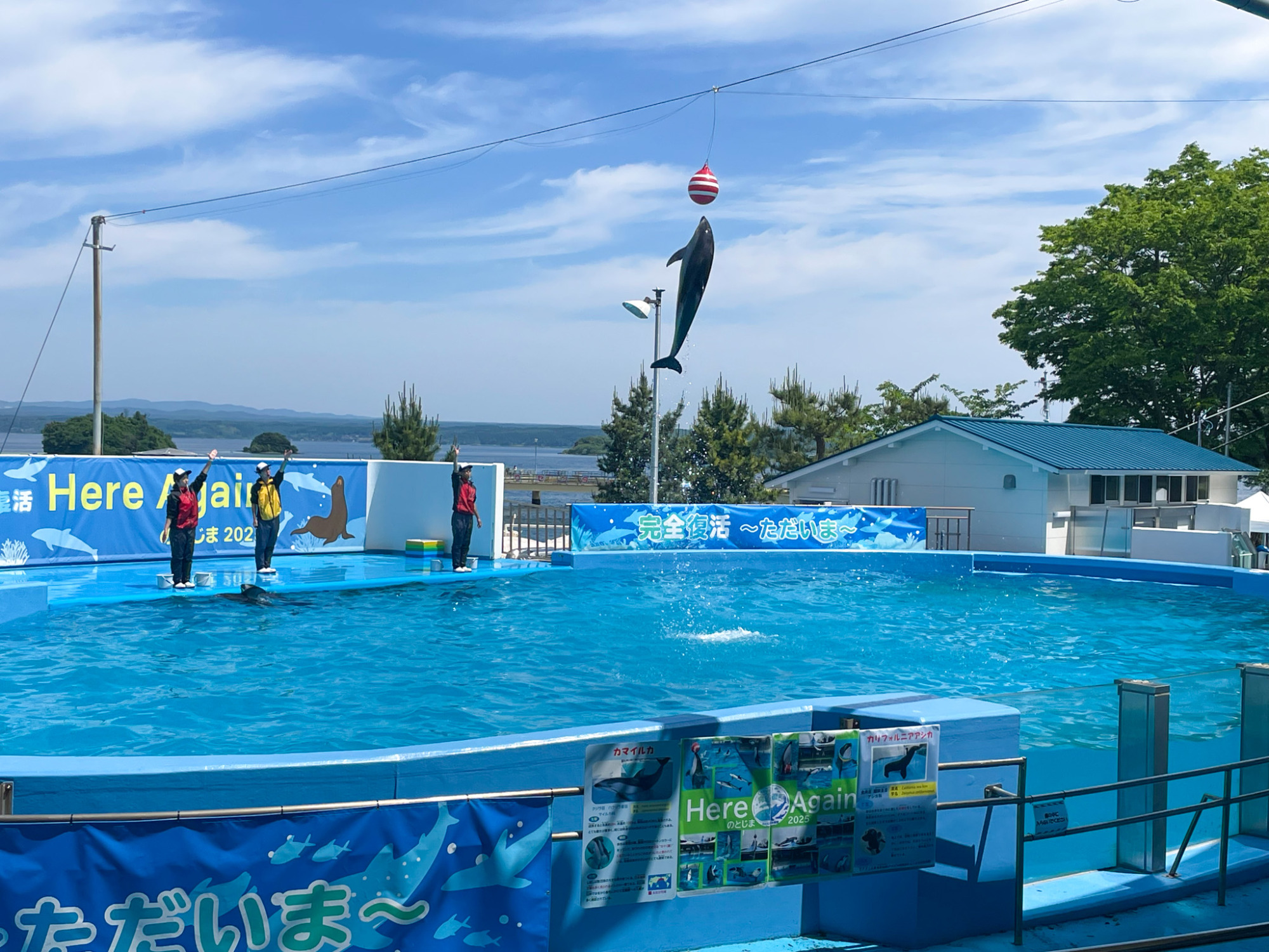 のとじま水族館の見どころ・料金・ジンベエザメ最新情報まとめ【2025年版】