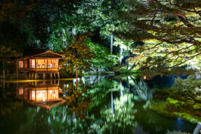 夜の金沢観光にぴったり！ライトアップバスで巡る幻想的なスポット体験