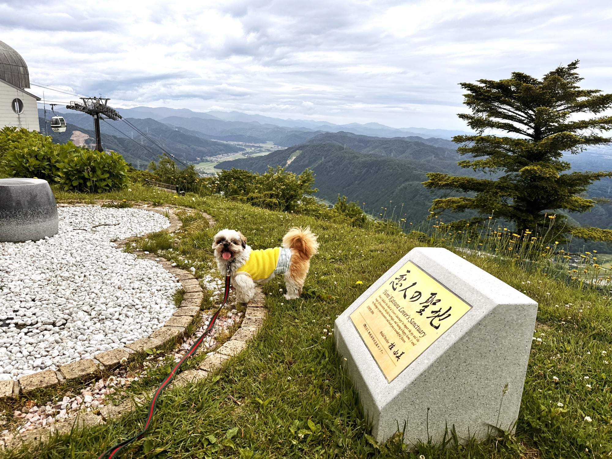愛犬と石川ドライブ旅！ペットと泊まれる宿と周辺スポットを紹介
