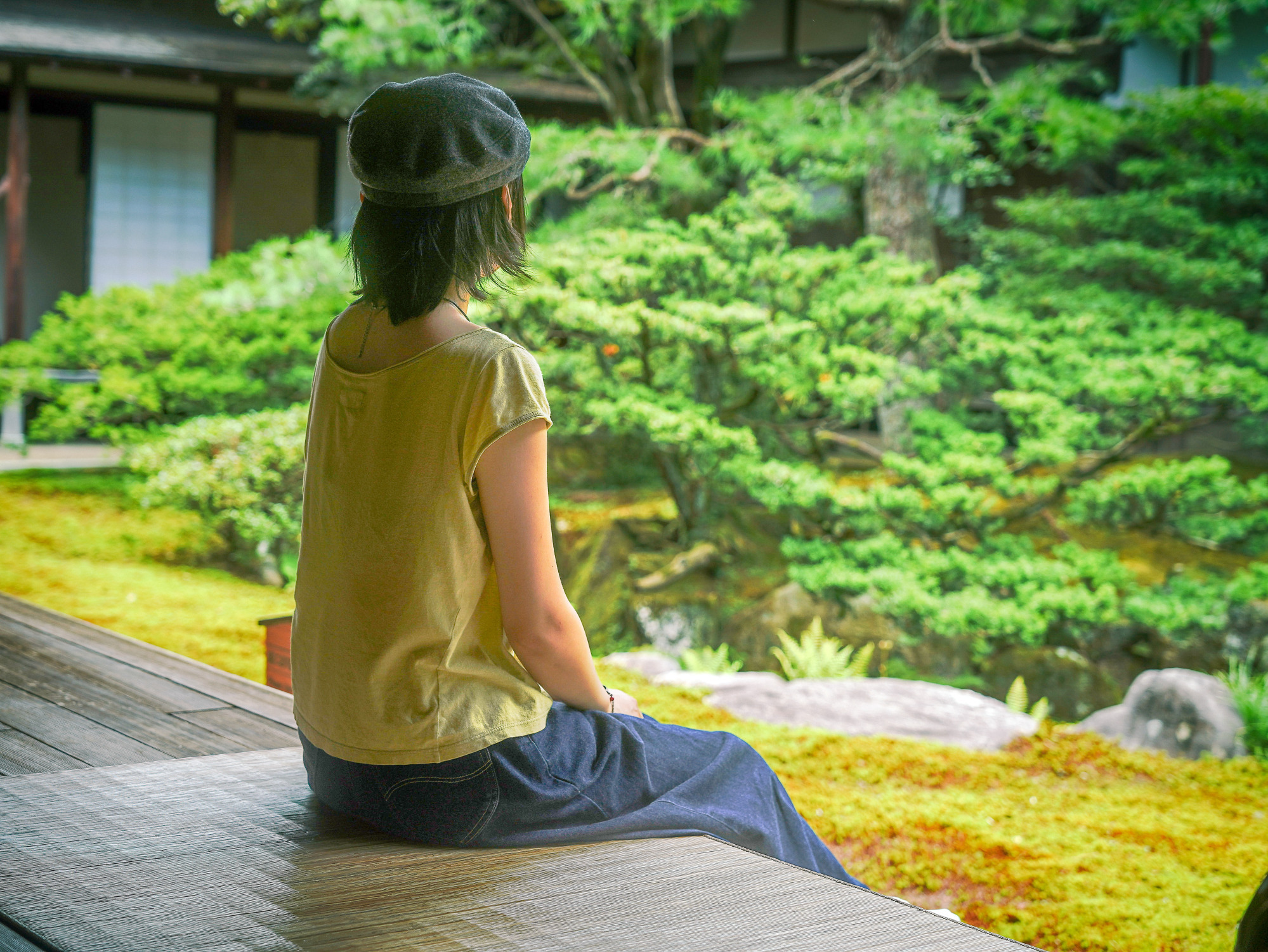 万年青（オモト）の緑庭園