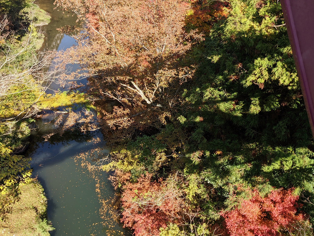 こおろぎ橋から眺める紅葉の鶴仙渓