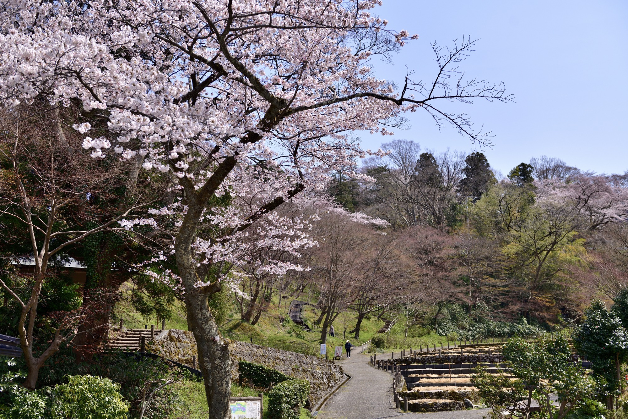 卯辰山からの眺望（春）（写真提供：金沢市）