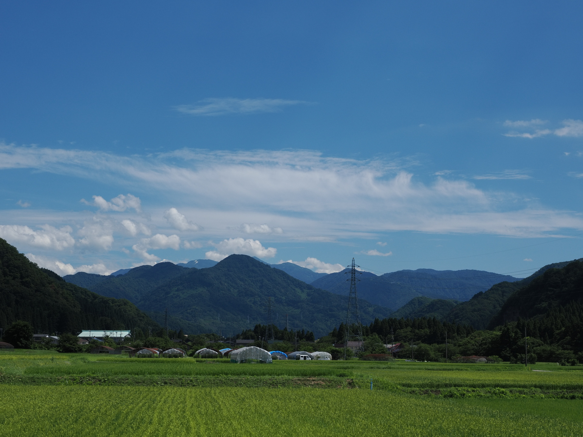 吉野谷地区の里山風景
