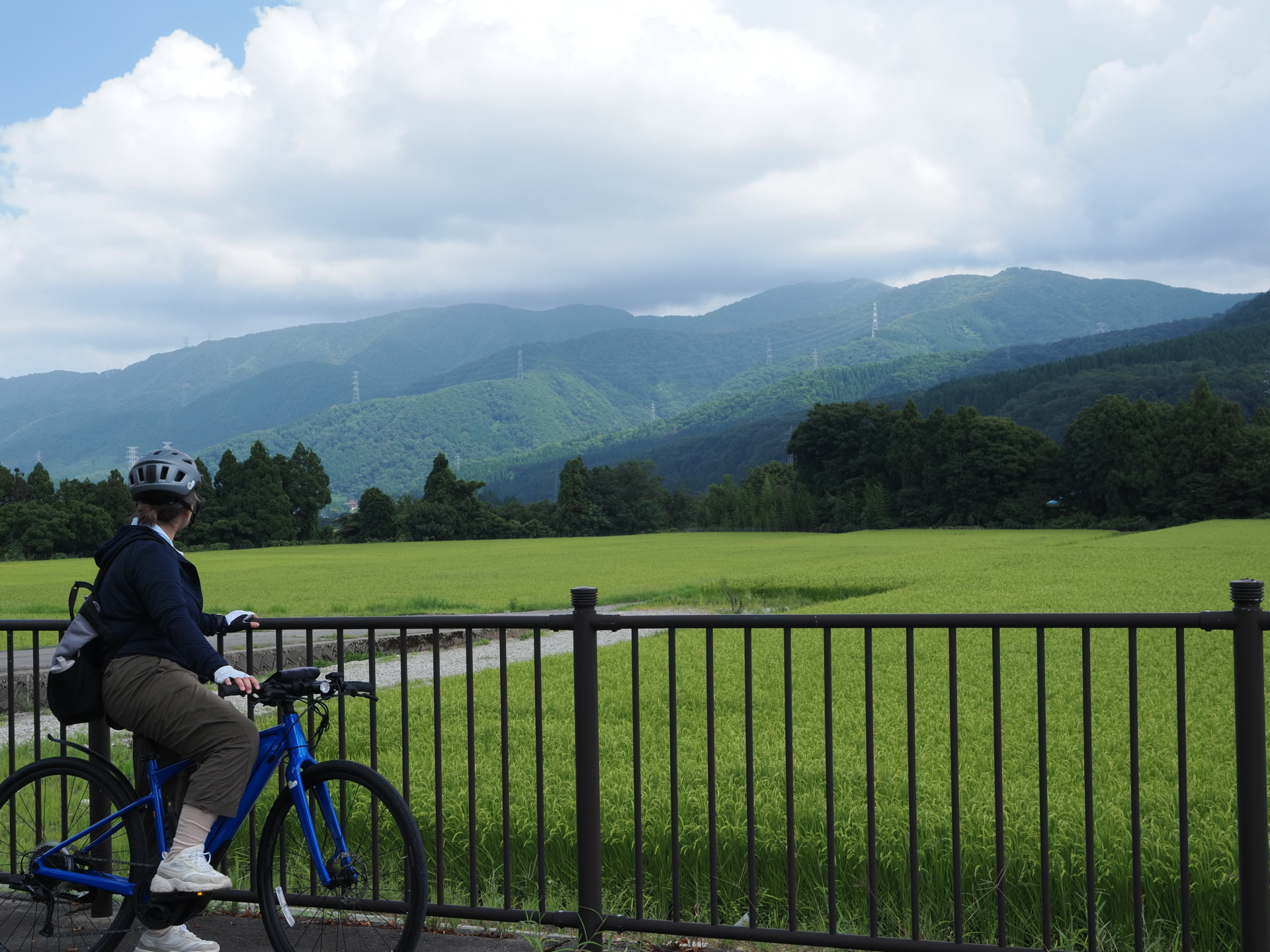 てどり桜街道から田園風景を眺める