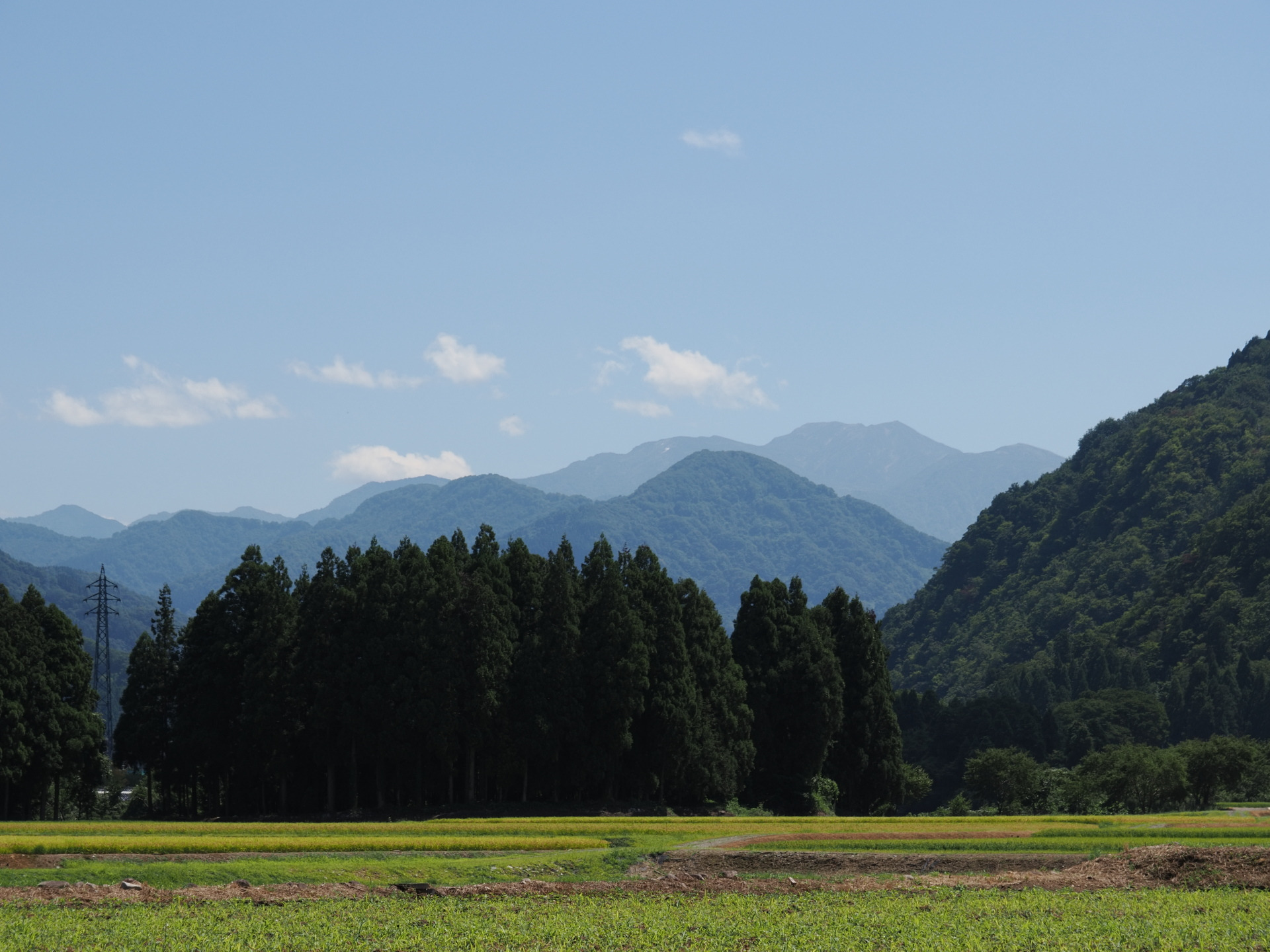 てどり桜街道から白山を望む