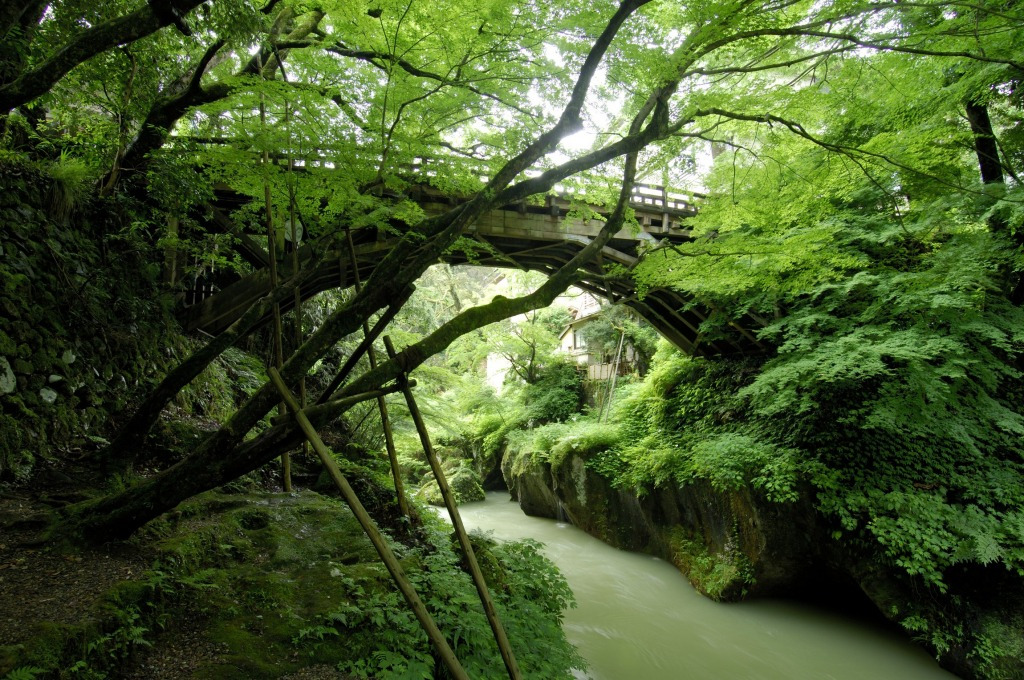 山中温泉・鶴仙渓