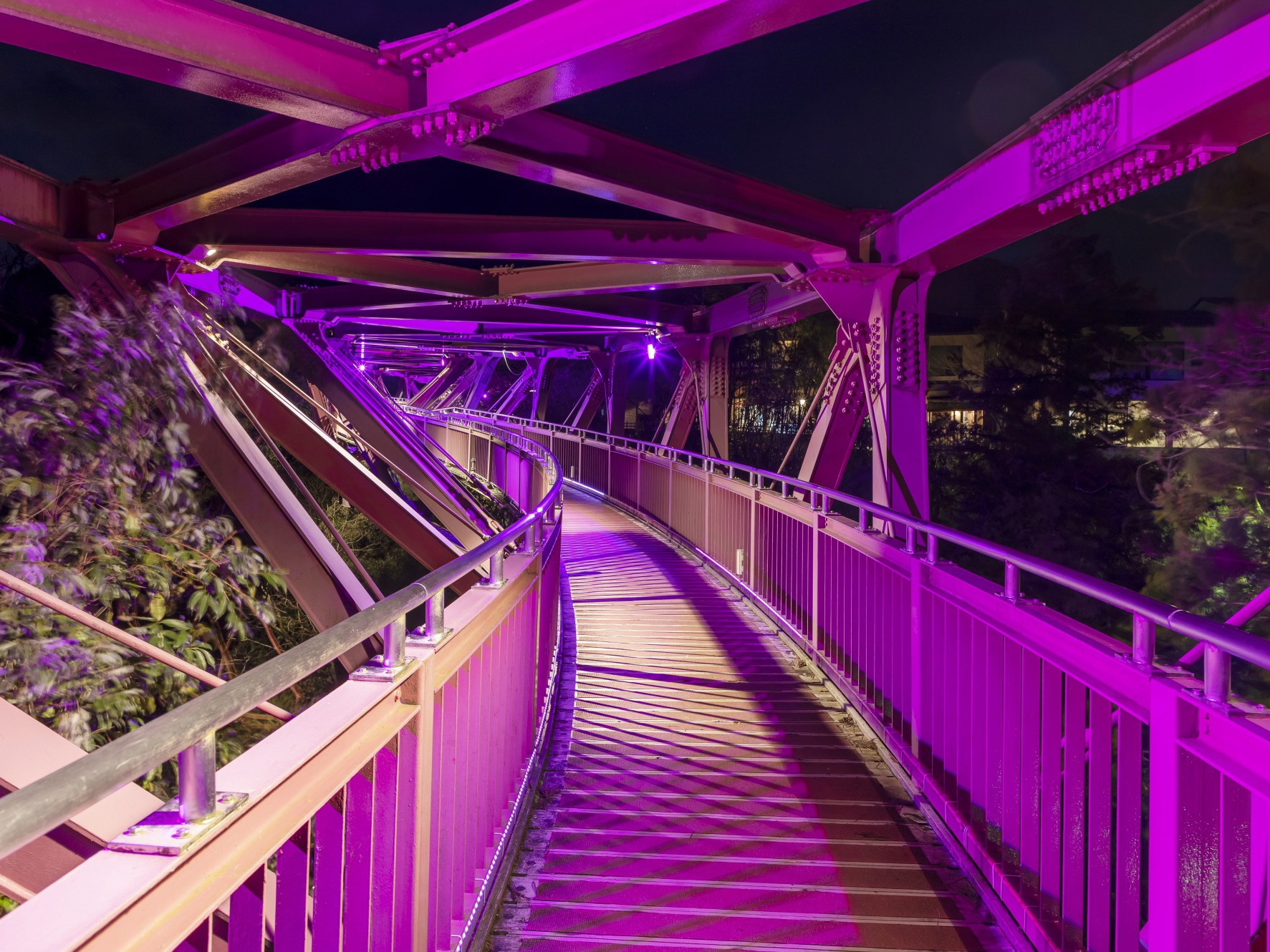 ライトアップされたあやとり橋