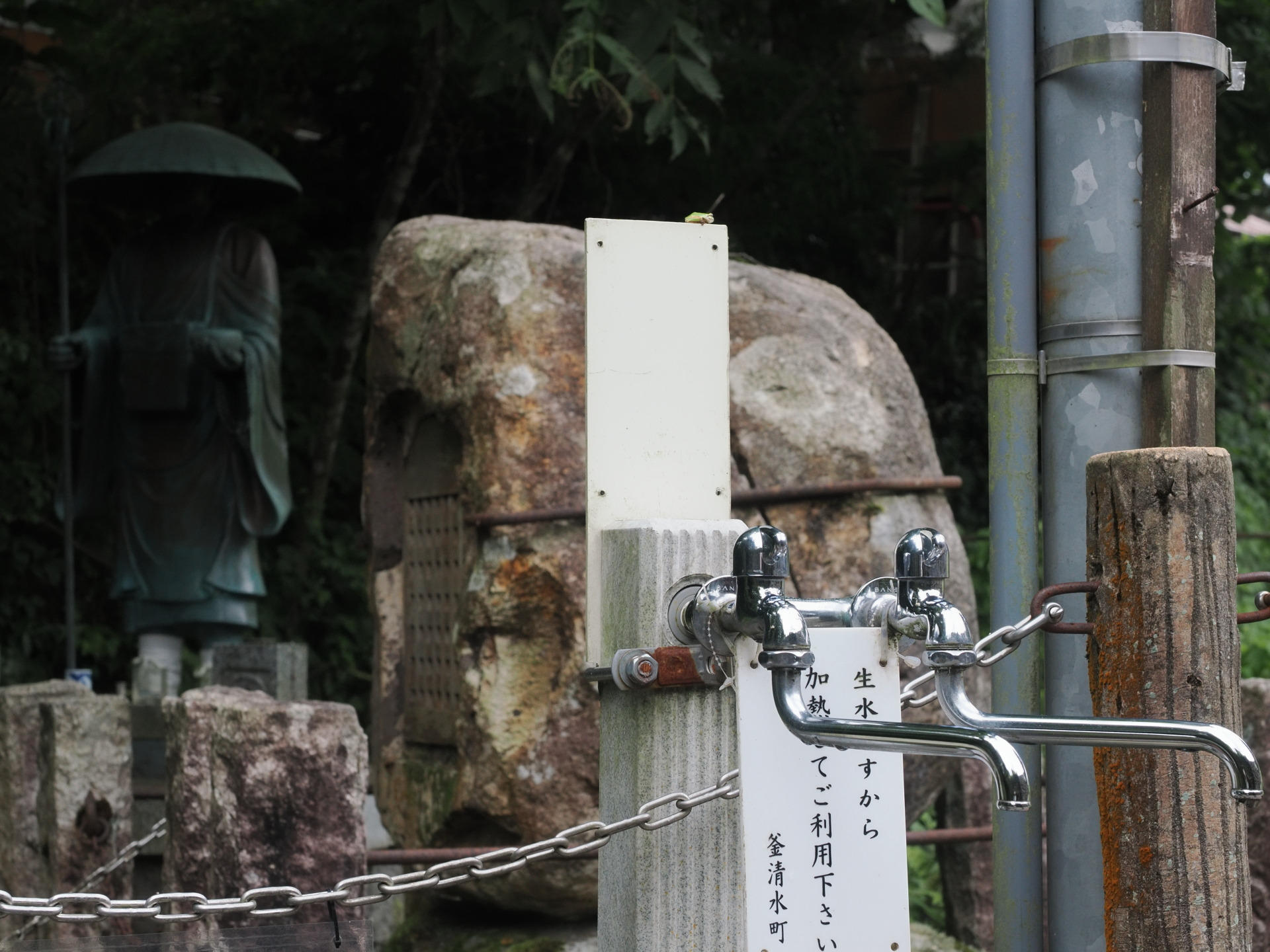 蛇口から汲むことができます