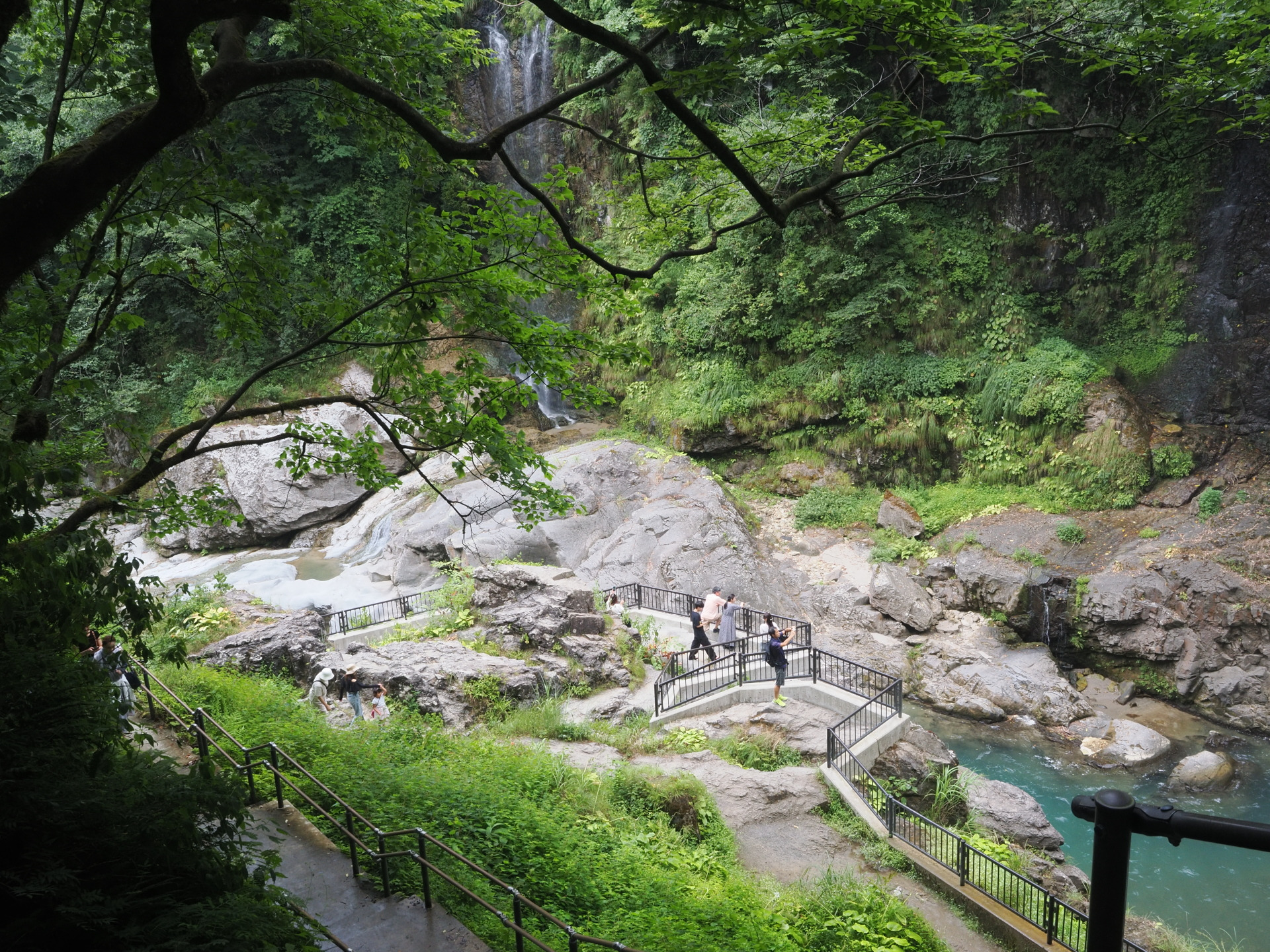 柵が整備されています