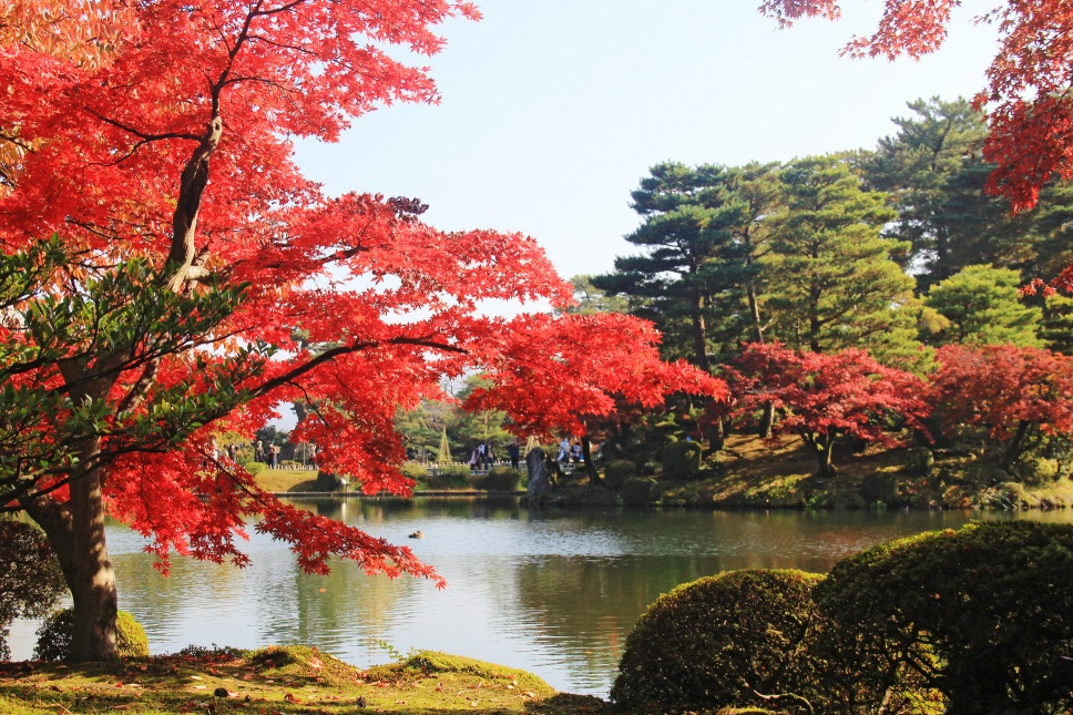 兼六園の紅葉