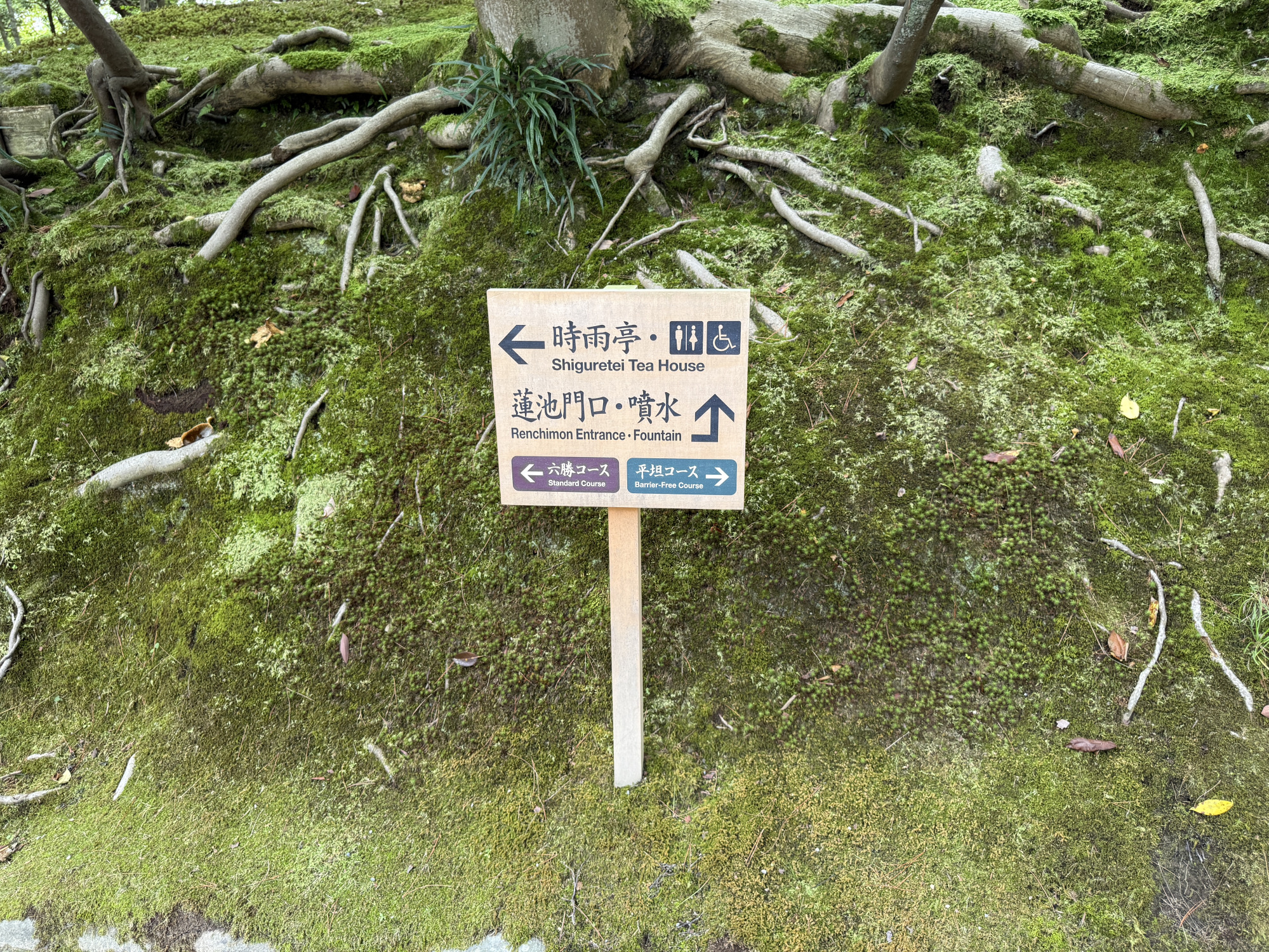 ※平坦コースをおすすめします