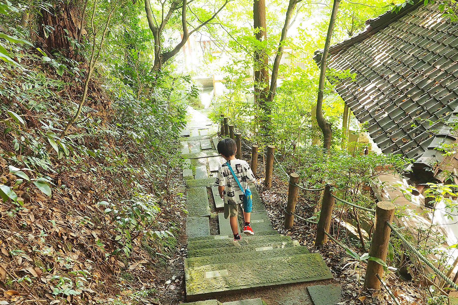 こんな所も行くのだ