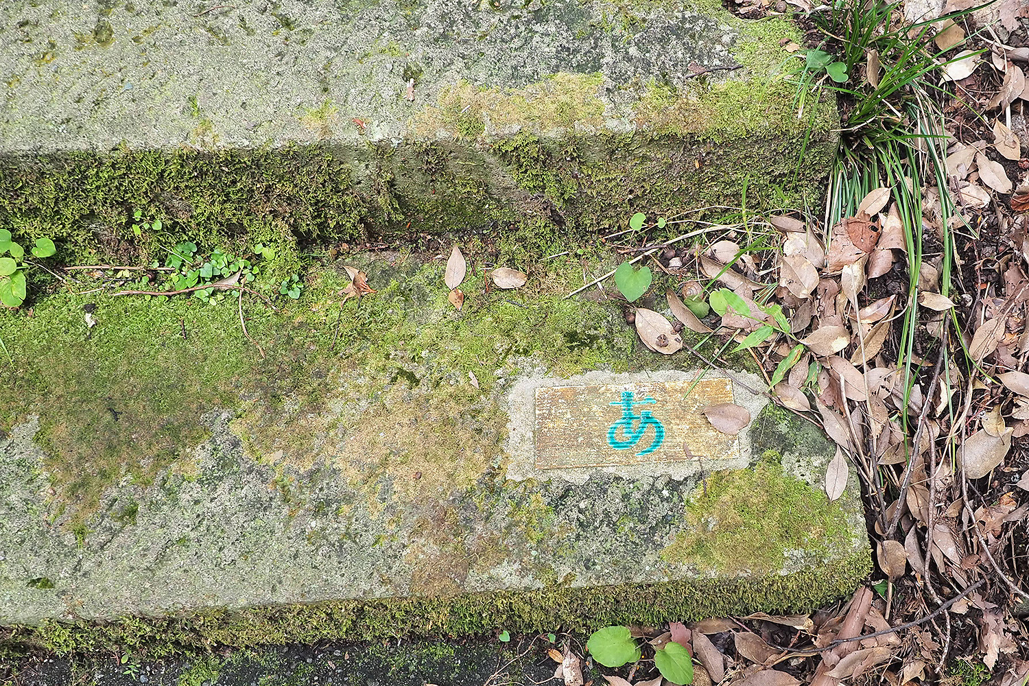 昔からの遊歩道にも！