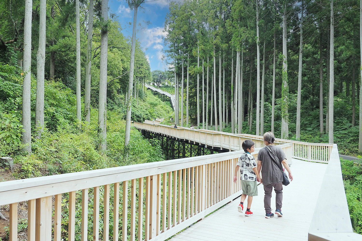 果てしなく続く回廊