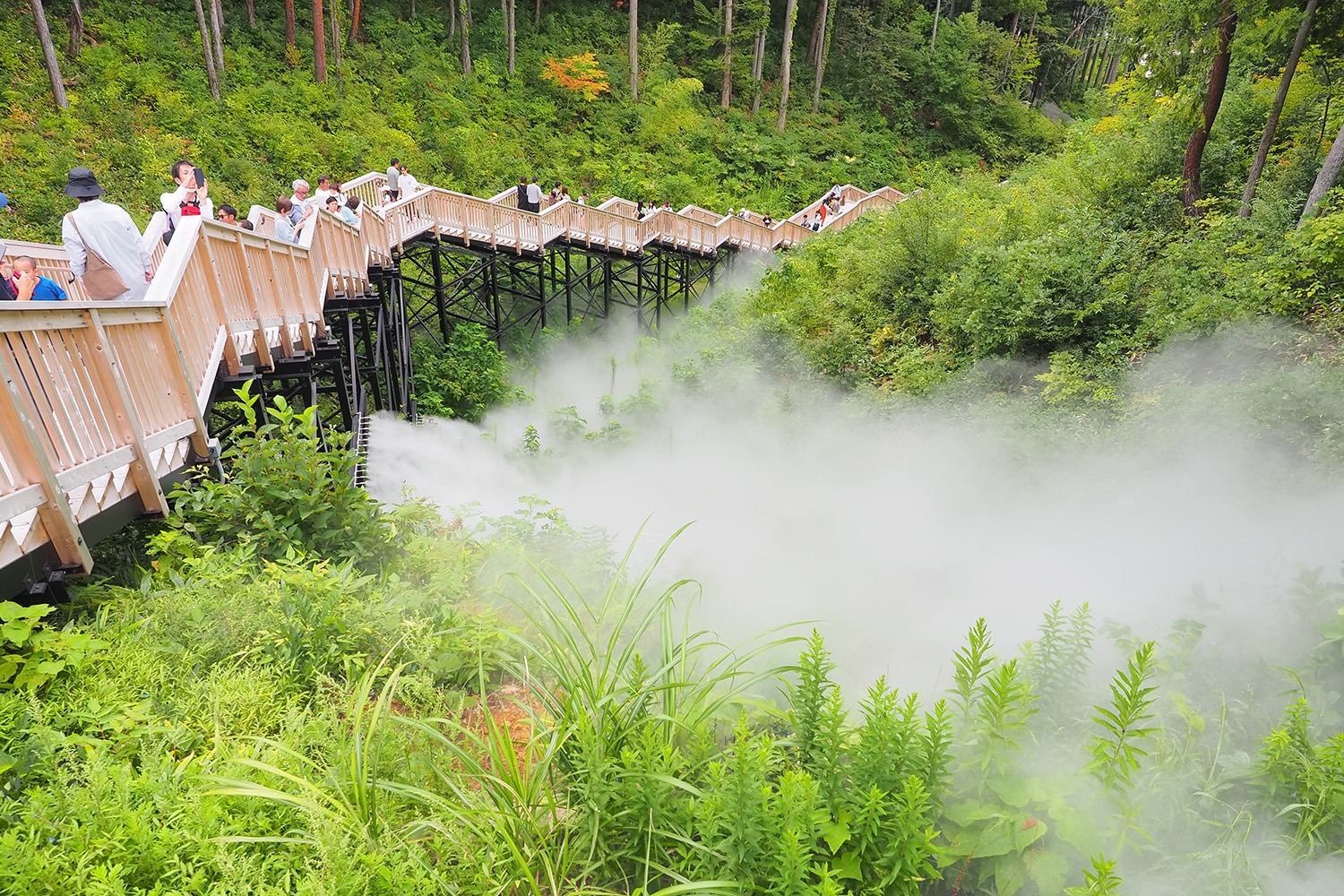 頂上付近では人口の「雲海」が！