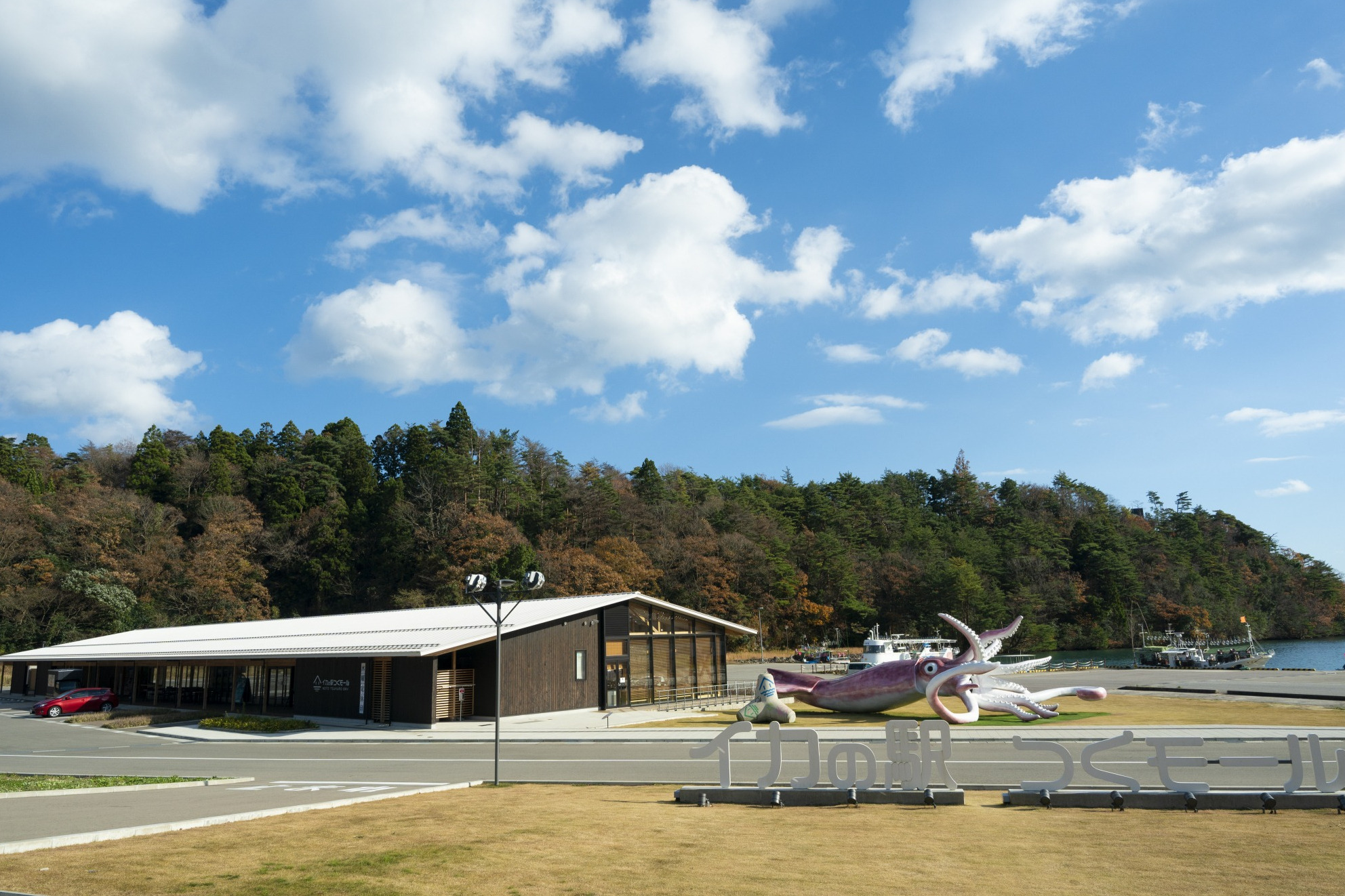 イカの駅つくモール