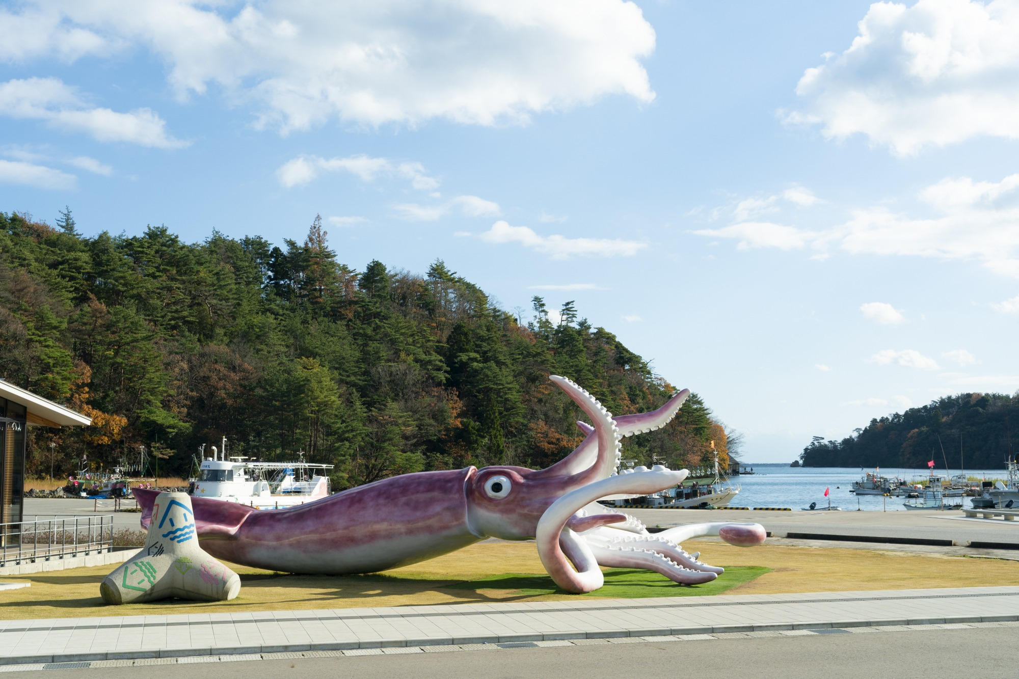 巨大イカキング