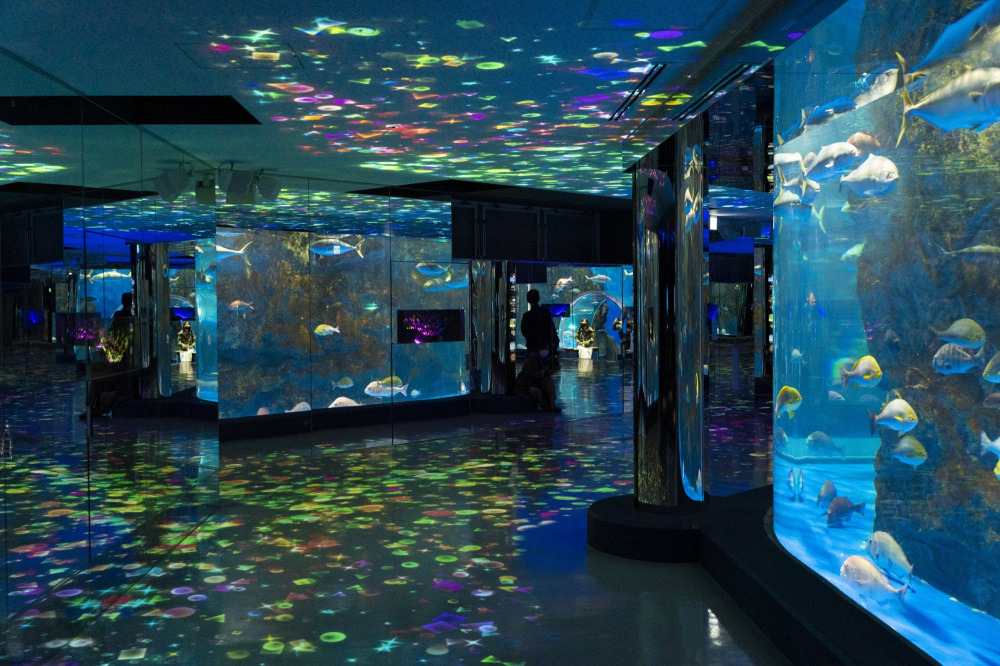 のとじま水族館