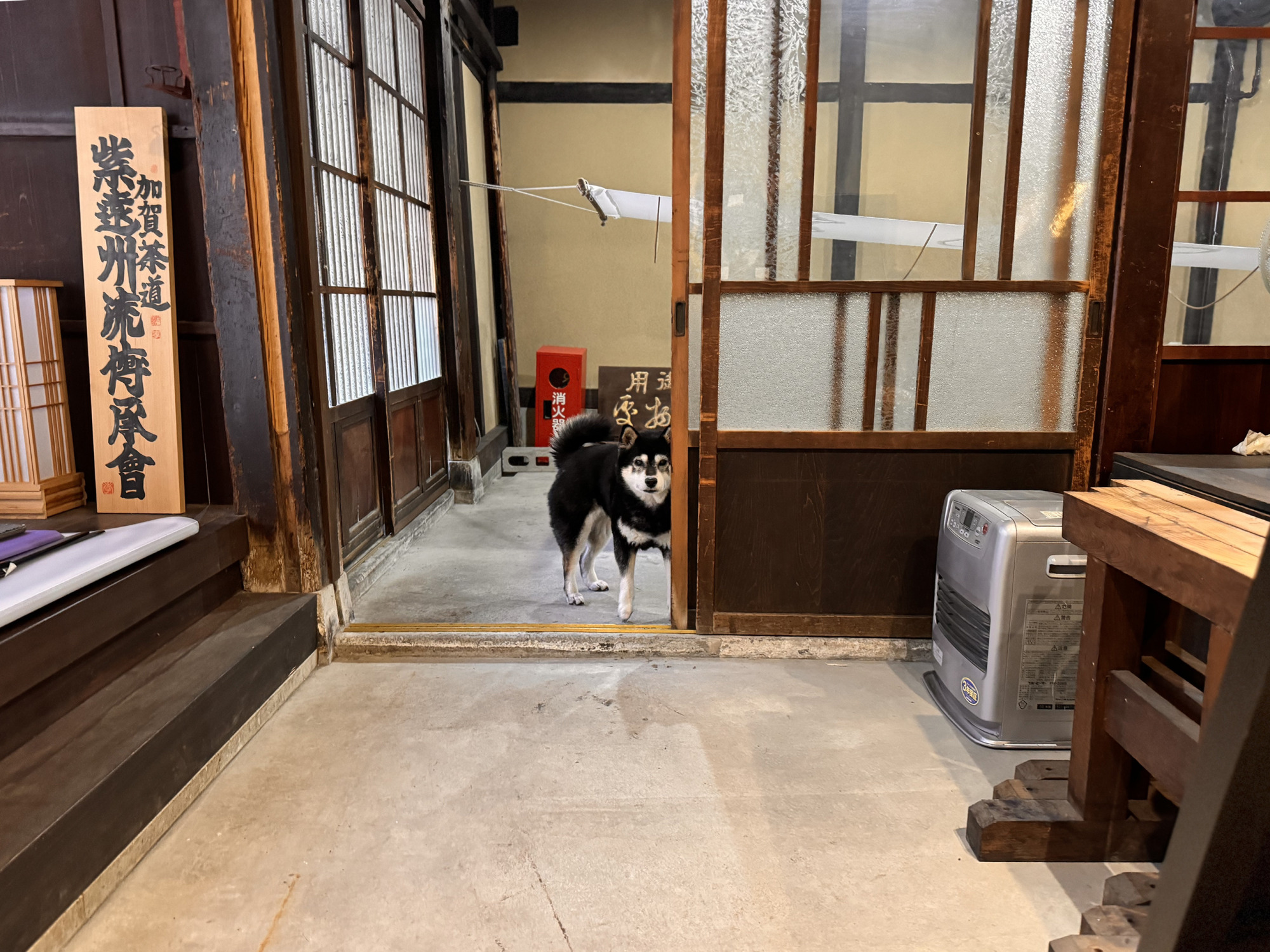 看板犬ねねちゃん