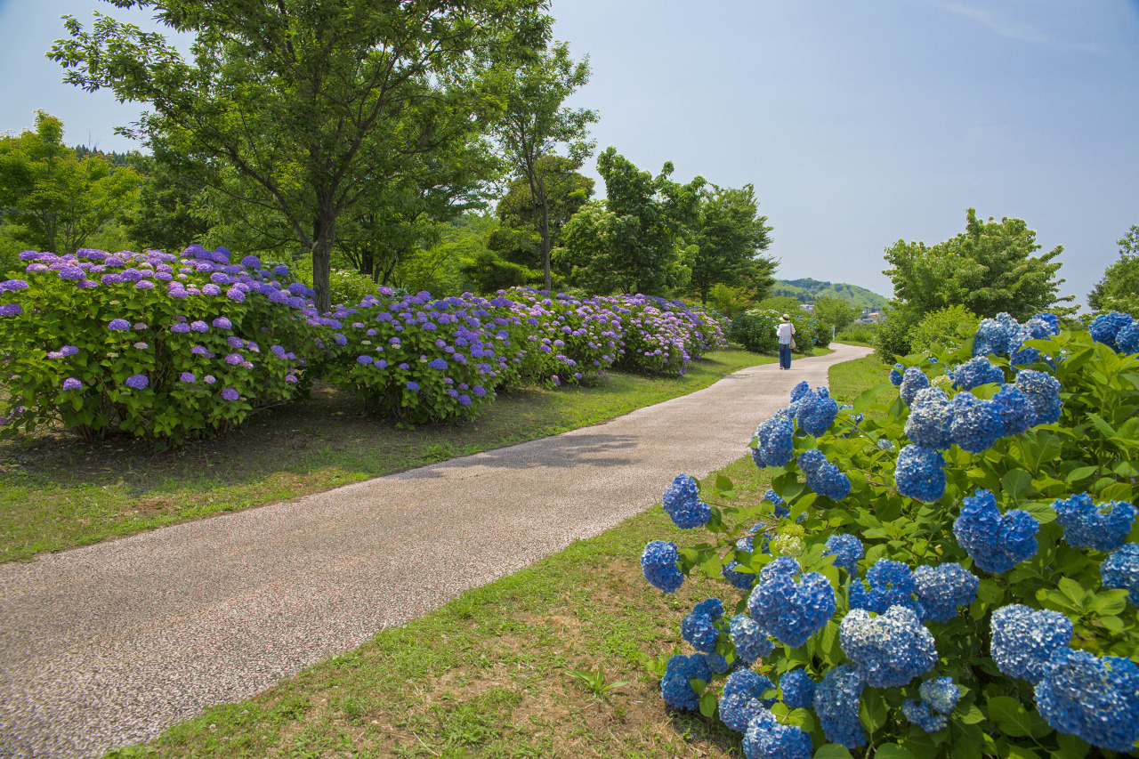 大乗寺丘陵公園