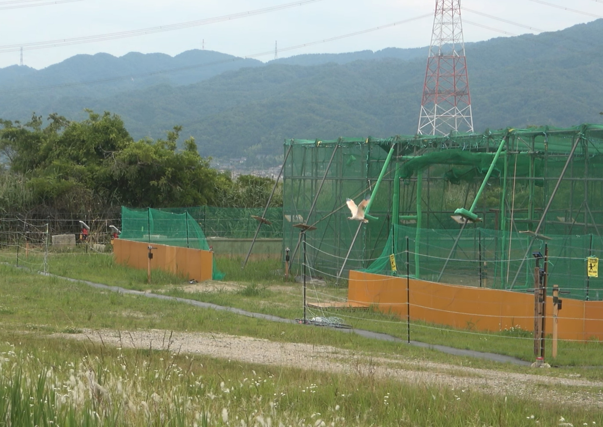 出典：石川県公式チャンネル
