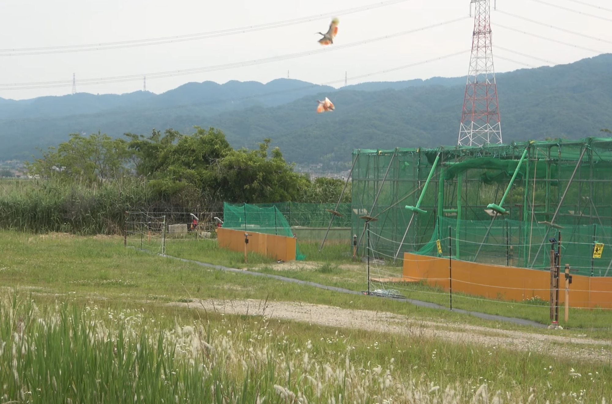 出典：石川県公式チャンネル