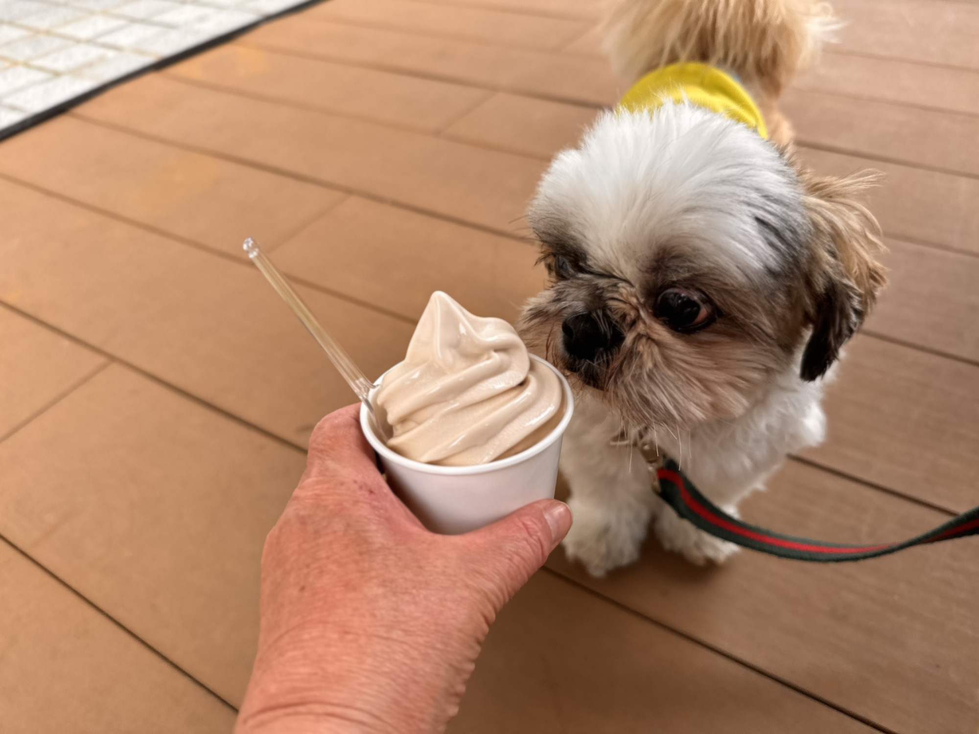 とちの実ソフトクリーム
