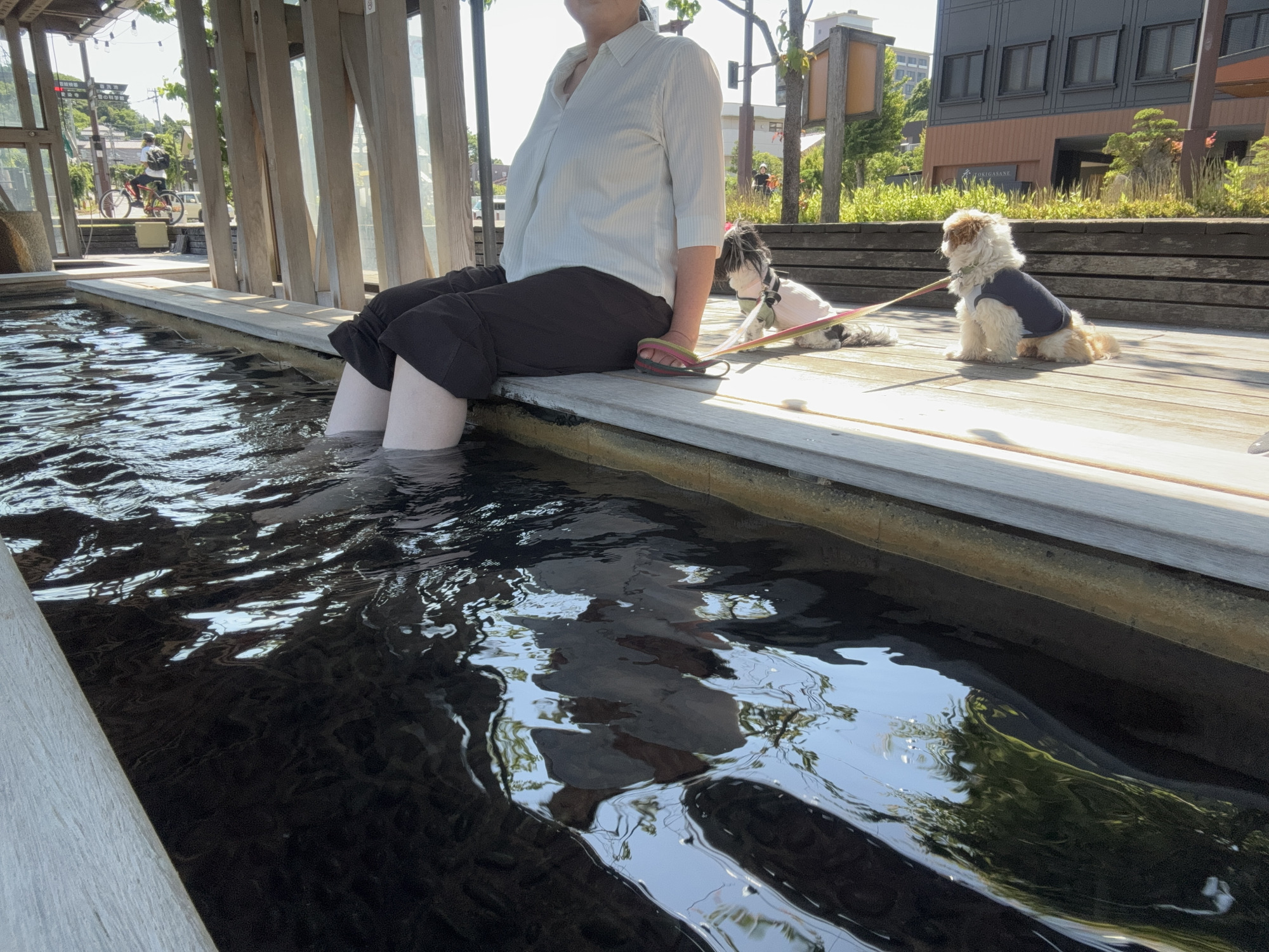 足湯は人のみ利用可能