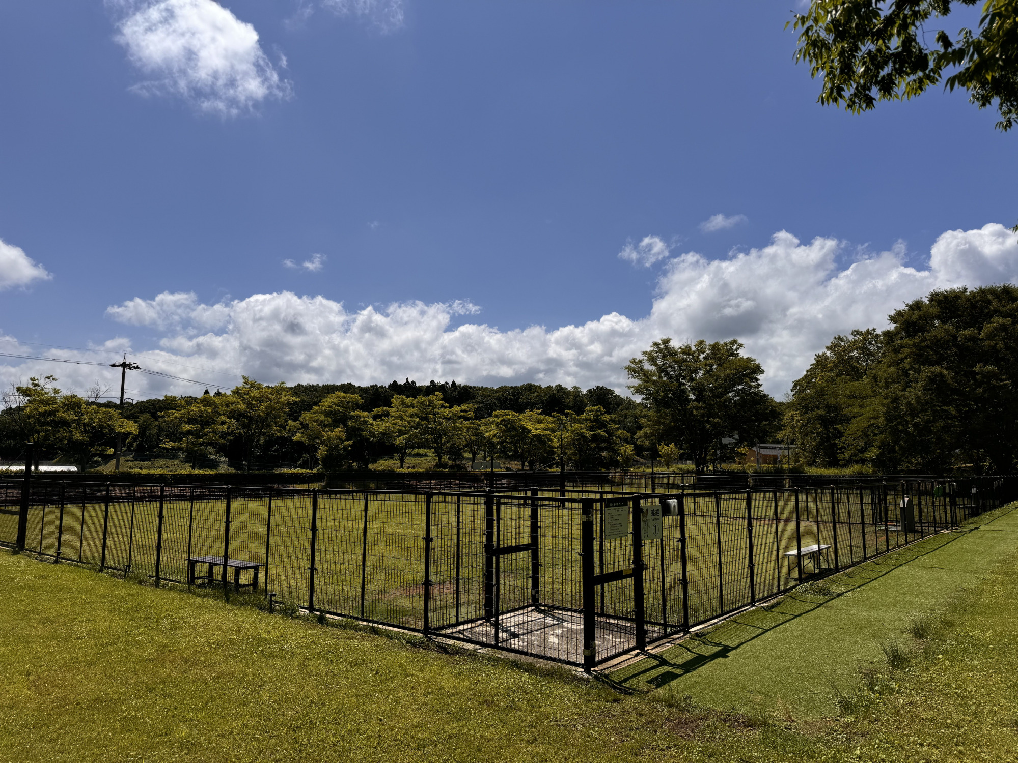 木場潟公園ドッグラン