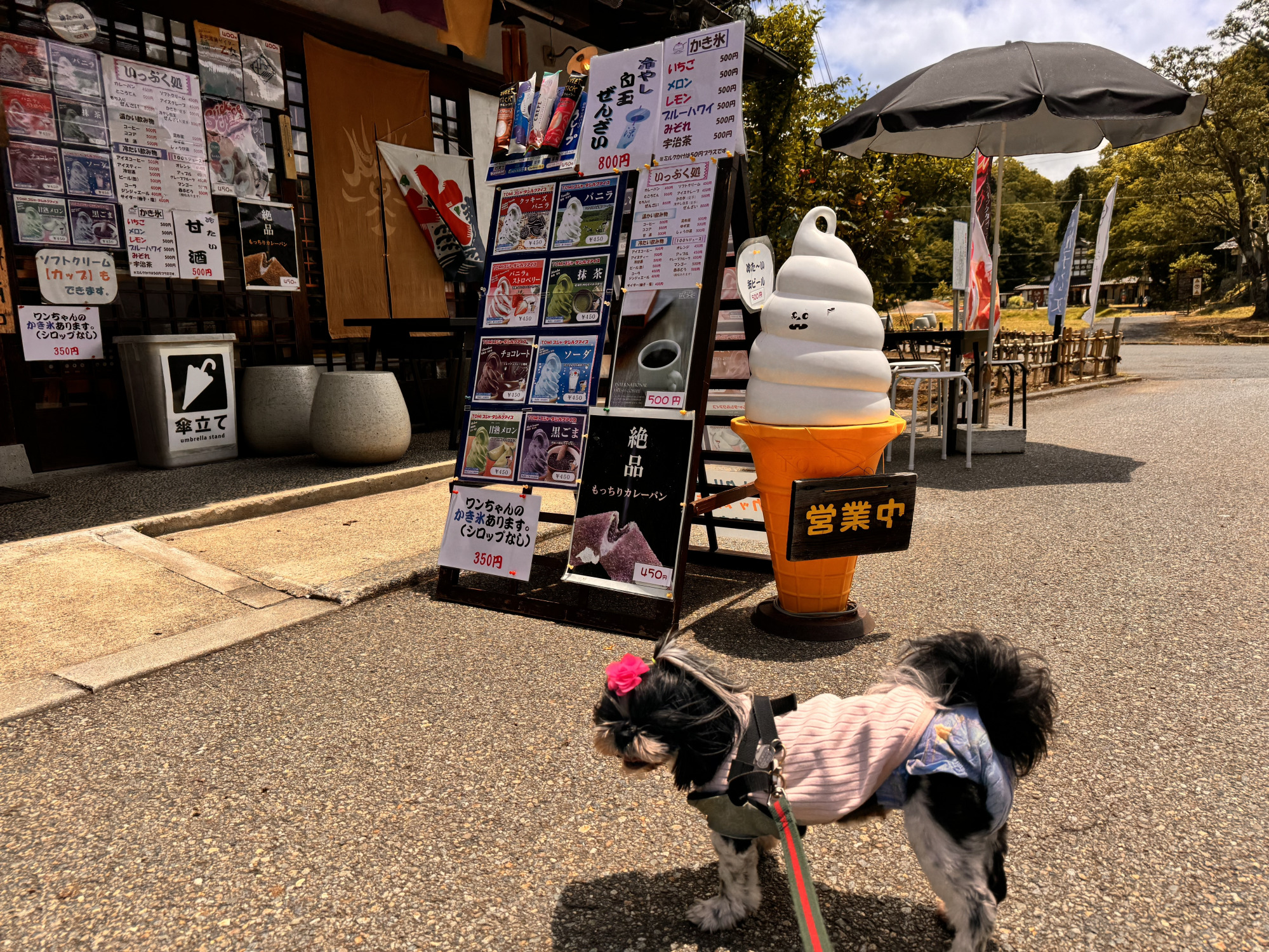 なごみ処には犬用カキ氷