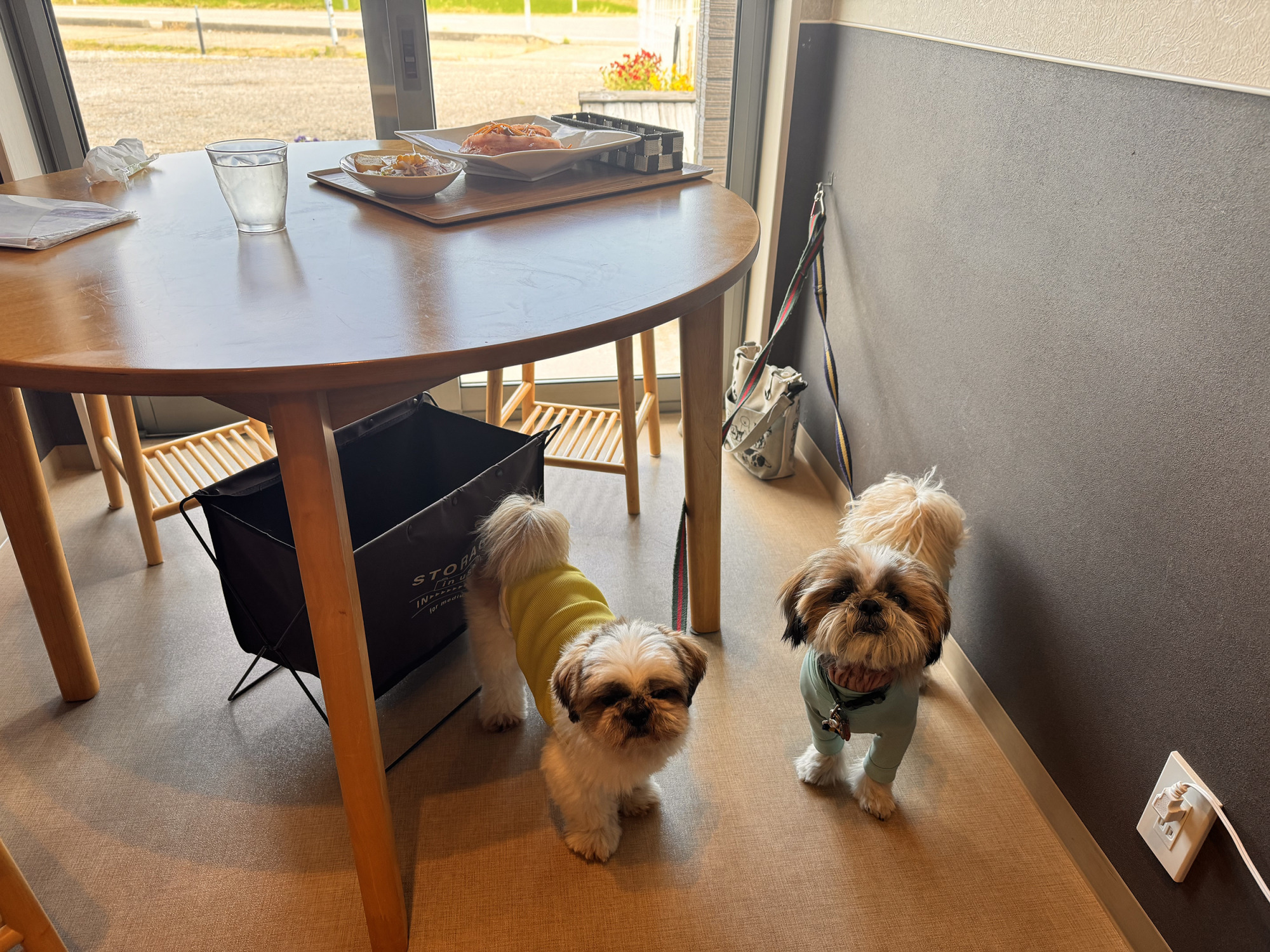 MOMO｜店内