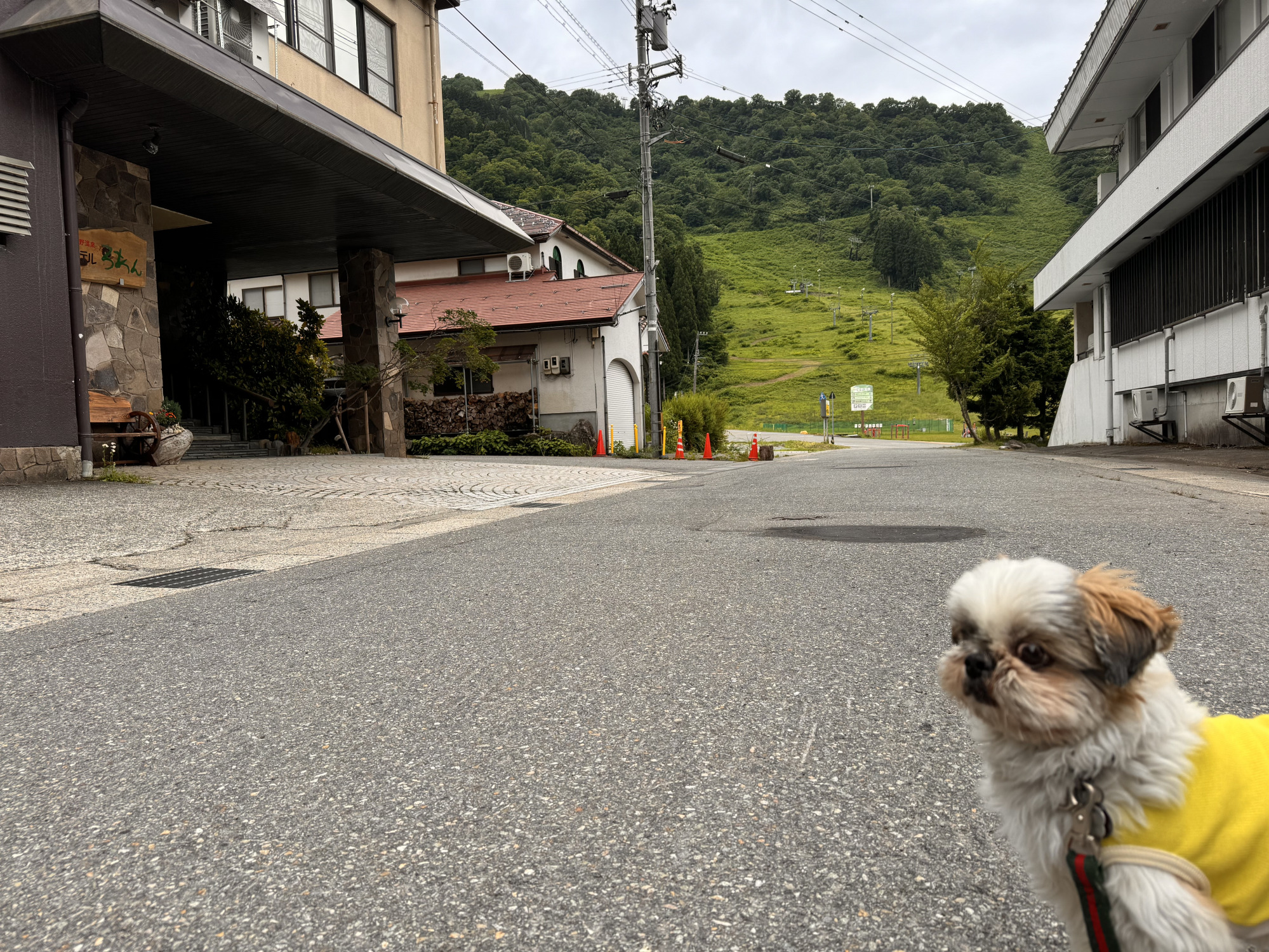 スキー場のゲレンデを望む宿